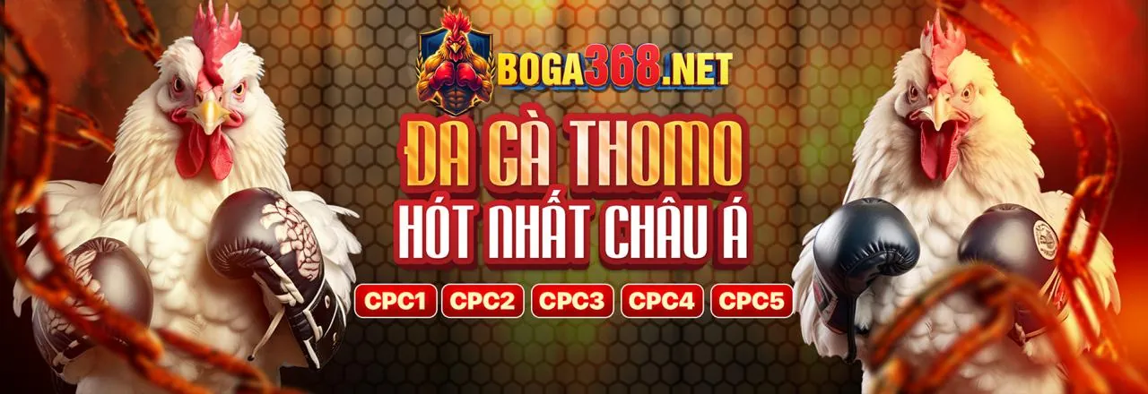 Đá gà trực tuyến 8hu88 - Sân đấu kịch tính